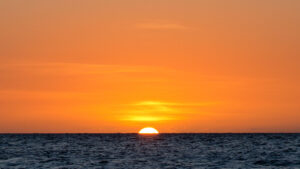 _DSC0150